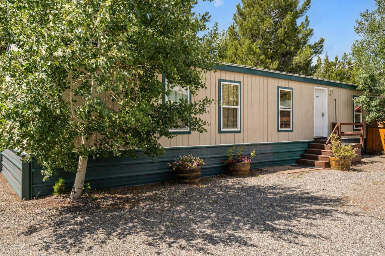 Alpine #3 Ferienhaus